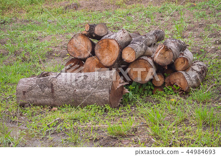 Pile of wood Pile of wood 44984693