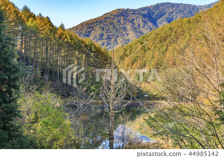 Heavens sauce 44985142