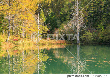 Heavens sauce Heavens sauce 44985153