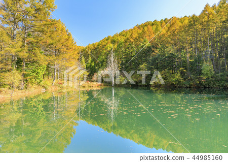 Heavens sauce 44985160