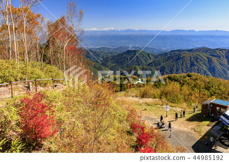 Heavens sauce 44985192