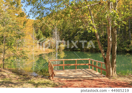 天堂醬 天堂醬 44985219