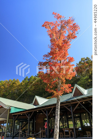 天堂醬 天堂醬 44985220