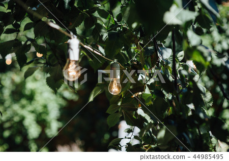 Light bulb decor in outdoor party. Party 44985495