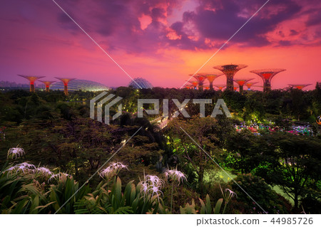 Aerial view of Garden by the bay in morning Aerial view of Garden by the bay in morning 44985726