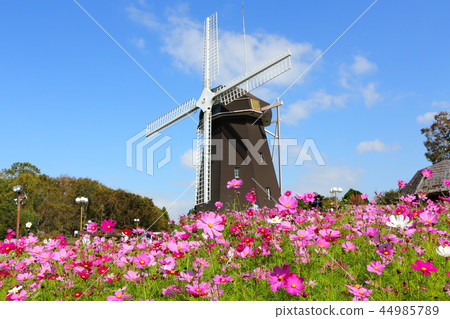 鶴見綠地公園（大阪市）的宇宙宇宙 44985789