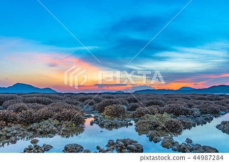 scenery sunrise above coral forest in Rawai sea scenery sunrise above coral forest in Rawai sea 44987284