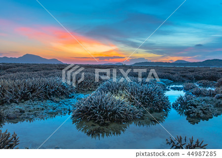 scenery sunrise above coral forest in Rawai sea scenery sunrise above coral forest in Rawai sea 44987285