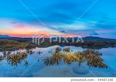 scenery sunrise above coral forest in Rawai sea scenery sunrise above coral forest in Rawai sea 44987286