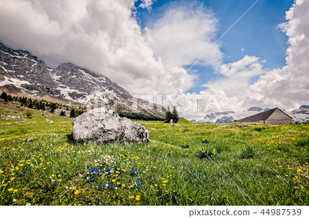 Plateau of Montasio. Mountain range landscape 44987539