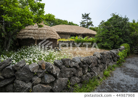 Jeju Island Jeju Island 44987908