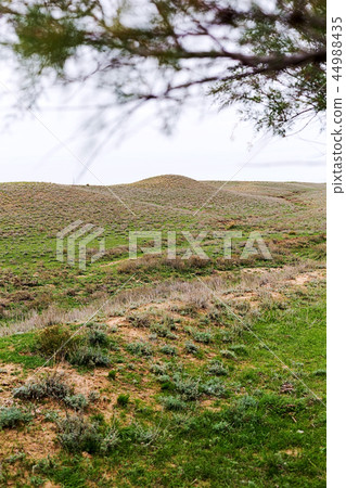 Steppe in autumn, daylight, sand and dry grass Steppe in autumn, daylight, sand and dry grass 44988435