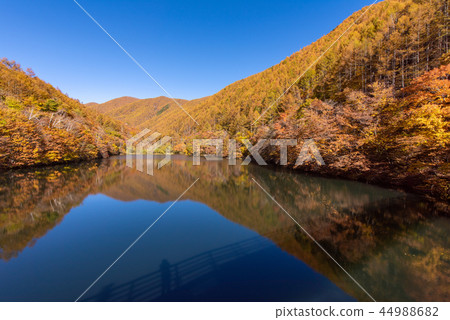 Autumn leaves of Ryugasawa Dam Autumn leaves of Ryugasawa Dam 44988682