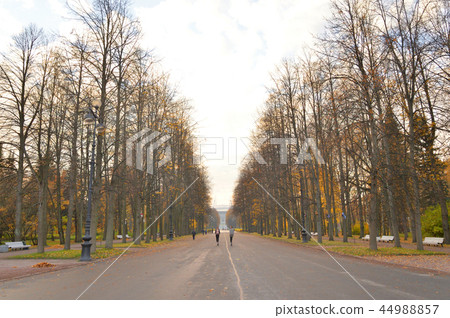 Central alley in park at autumn. Central alley in park at autumn. 44988857