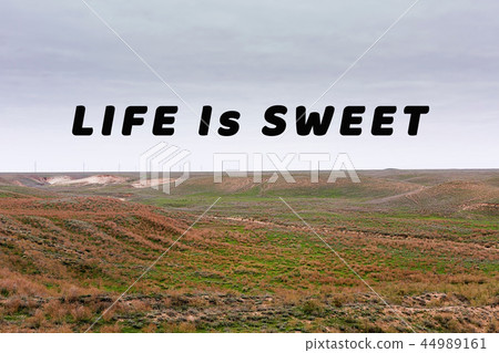 Inspirational quote. Nature, steppe. Inspirational quote. Nature, steppe. 44989161