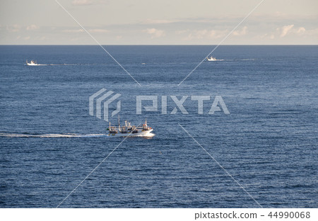 Taking pictures of squid fishing boats returning in Hakodate, Hokkaido, Hokkaido 44990068