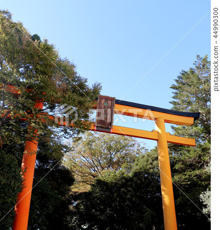 Kawagoe Hikawa Shrine Otorii 44990300