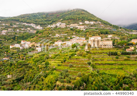 Vineyards at Ravello 44990340