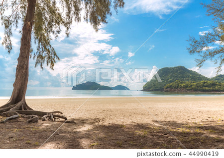 Sea and beach view with pine and island Sea and beach view with pine and island 44990419