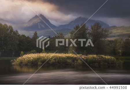 Pond with Little Island full of Flowers at Sunset 44991508