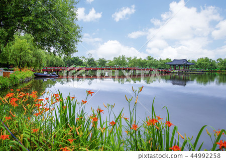Chungcheongnam-do, Korea, Chungcheongnam-do, Korea, 44992258
