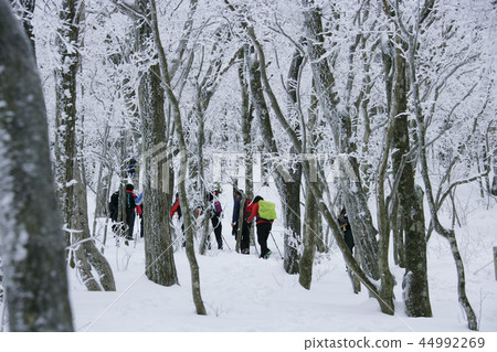 江原道,韓國,Daegwallyeong,雪景 江原道,韓國,Daegwallyeong,雪景 44992269