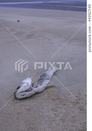 Chungcheongnam-do, Korea, Taean, Sinduri, Sindoori beach 44992599