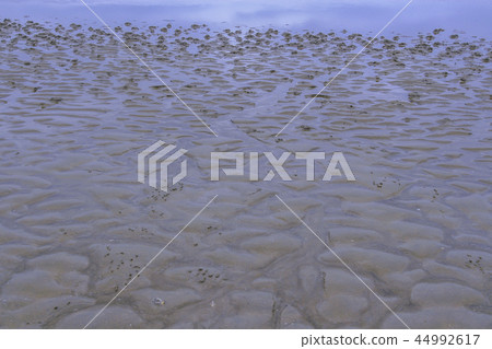 忠清南道,韓國,泰安,Sinduri,Sindoori海灘 忠清南道,韓國,泰安,Sinduri,Sindoori海灘 44992617