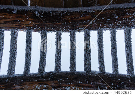 韓國江原道,Daegwallyeong,綿羊牧場 韓國江原道,Daegwallyeong,綿羊牧場 44992685