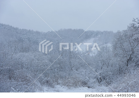 忠清南道，韓國，舒川，農村，雪景 44993046