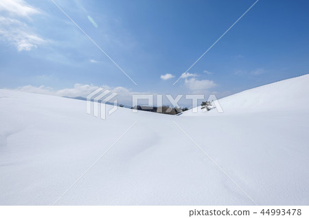 Gangwon Province, Korea, Daegwallyeong, Sheep Ranch 44993478