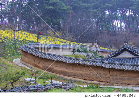 Chungcheongnam-do, Korea, Seosan, Organic House 44993848