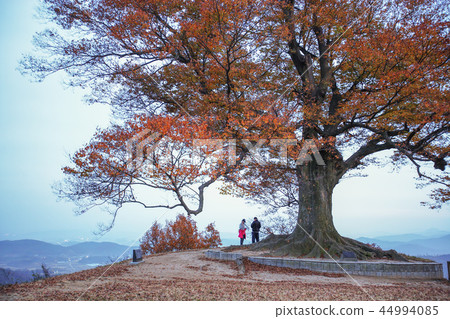 Chungcheongnam-do, Korea Chungcheongnam-do, Korea 44994085
