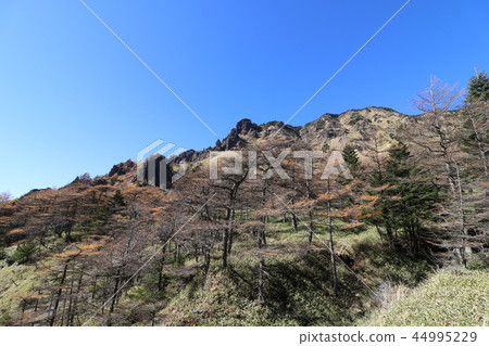 Asama mountain of autumn colored leaves season Asama mountain of autumn colored leaves season 44995229