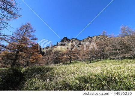 Asama mountain of autumn colored leaves season Asama mountain of autumn colored leaves season 44995230