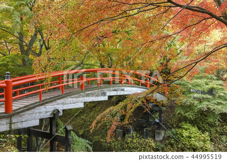Ikaho Onsen Kawakabashi Autumn leaves 44995519