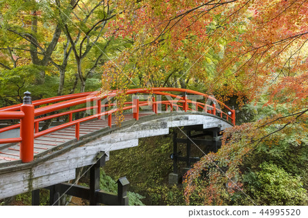 Ikaho Onsen Kawakabashi Autumn leaves Ikaho Onsen Kawakabashi Autumn leaves 44995520
