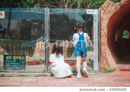 Children's zoo Children's zoo 44995685