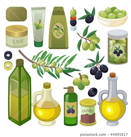 Olive vector oliveoil bottle with virgin oil and natural olivaceous ingredients for vegetarian food Olive vector oliveoil bottle with virgin oil and natural olivaceous ingredients for vegetarian food 44995817