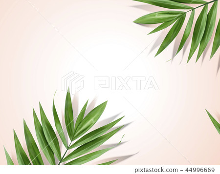 Palm leaves background Palm leaves background 44996669
