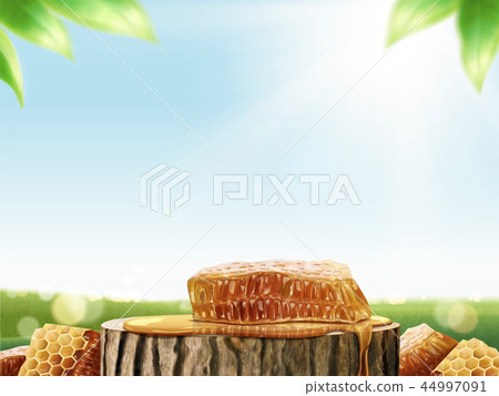 Honeycomb and pure honey Honeycomb and pure honey 44997091