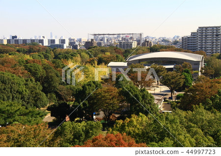 The autumn leaves of Koharugaoka Park 44997723