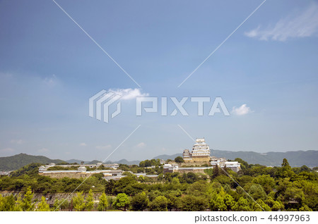 Fresh green of Himeji Castle 44997963