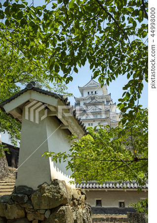 Fresh green of Himeji Castle Fresh green of Himeji Castle 44998000