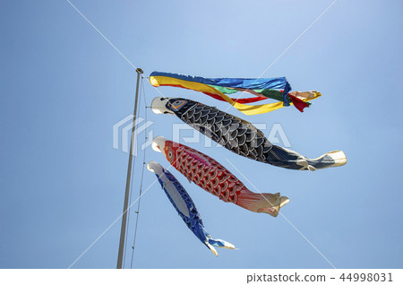 Carp streamer 44998031