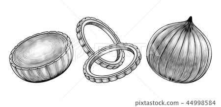 Engraved style onions Engraved style onions 44998584