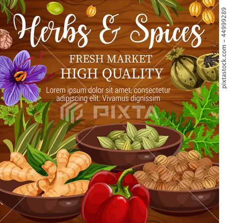 Herbs and spices food seasoning, wooden background Herbs and spices food seasoning, wooden background 44999289