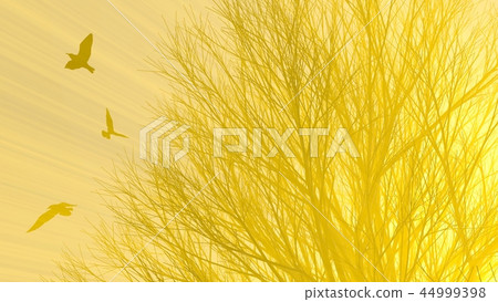 Lonely tree without leaves in fog or mist lit by bright orange sun god rays and flying seagulls Lonely tree without leaves in fog or mist lit by bright orange sun god rays and flying seagulls 44999398