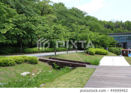 北首爾夢幻森林 44999462