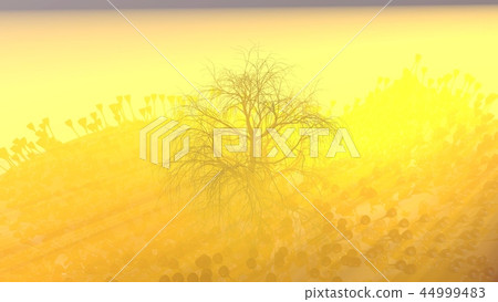 Mountain, fog, mist abstract meadow field full of strange vegetation in form of wine glasses and lit Mountain, fog, mist abstract meadow field full of strange vegetation in form of wine glasses and lit 44999483